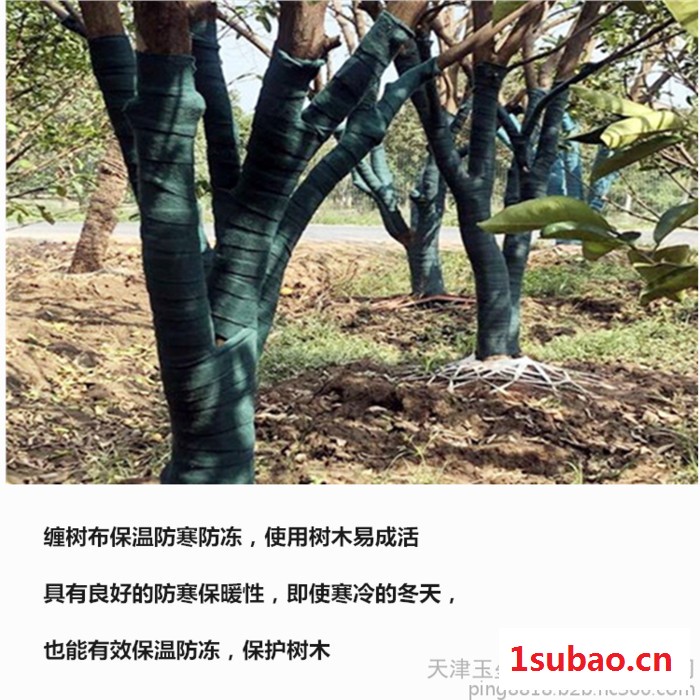 玉垒吉祥单膜 双膜 树木保温带 包树布 缠树带 裹树布 大树绷带 植物绷带 冬季树木保温带批发 厂家直售 树木保鲜膜图6