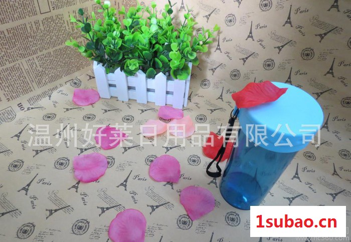 好莱 新款创意透明塑料随手水杯单层带盖塑料杯子口杯图3