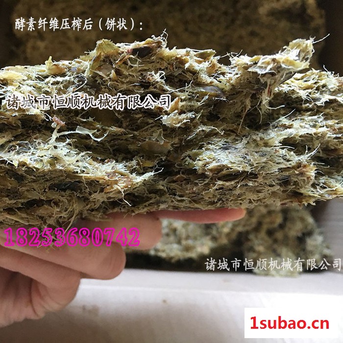 宁陵富硒梨 、黄梨梨膏离子提取压榨机 农家手工自制润嗓梨膏榨汁机 酥梨膏压榨机