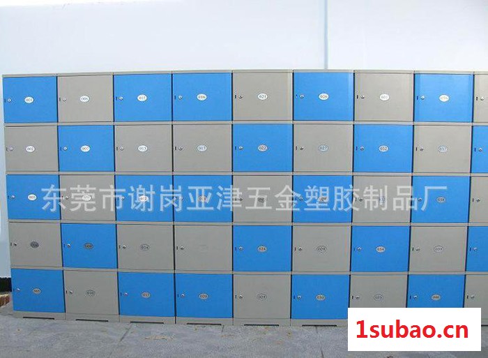 专业生产 ABS塑胶储物柜 浴室更衣柜 塑胶更衣柜 游泳池更图2