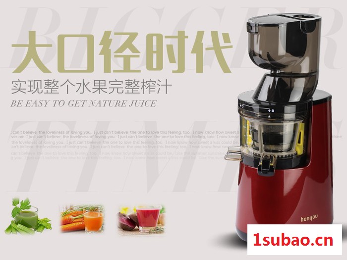 家用电器新品大口径原汁机 马帮会销原汁机 家用全自动榨汁机慢速炸果汁豆浆料理机批发图4