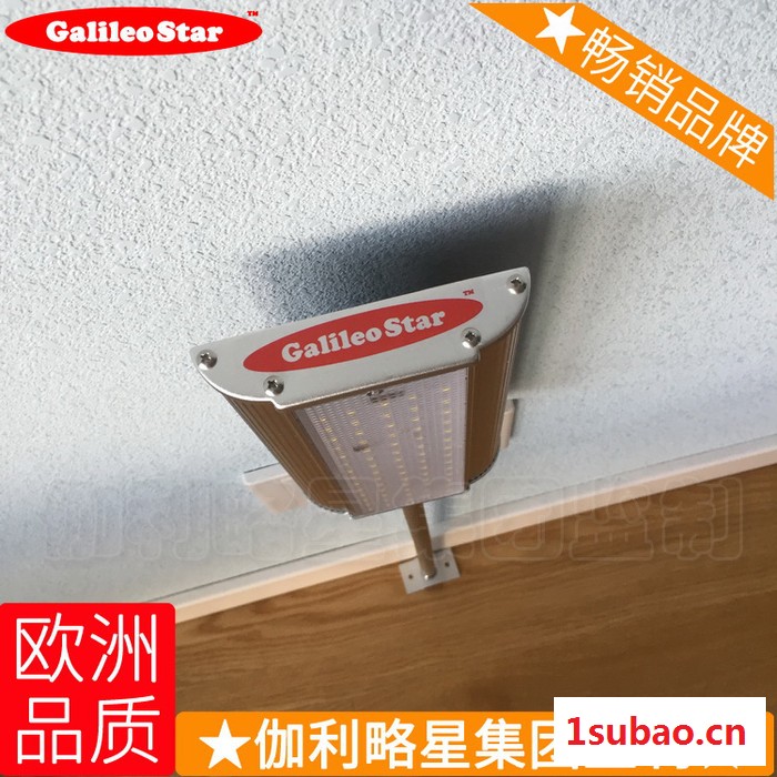 手手小马灯树手电筒led灯庭院灯双臂太阳能室外提灯路灯图6