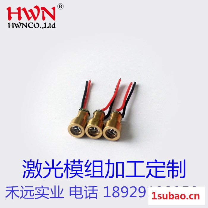 定做红外线激光器 激光灯手电筒模组 点状定位激光二极管图3