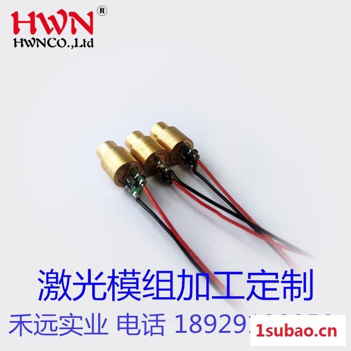 定做红外线激光器 激光灯手电筒模组 点状定位激光二极管图4