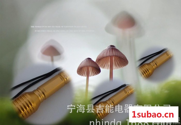 新款CREE强光手电筒，旋转调焦手电筒，LED铝电筒，多功能图3