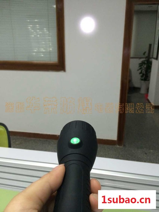 防爆手电筒  LED手电筒 深圳华荣防爆BAD206轻便式防爆电筒 深圳华荣生产图3