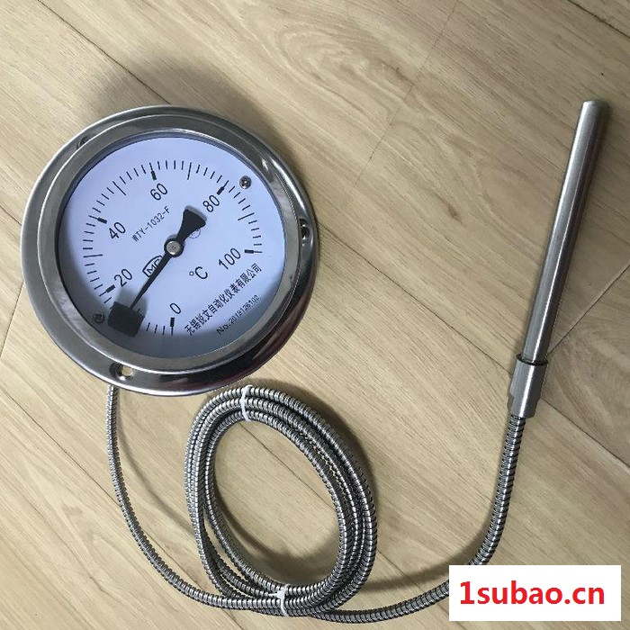 WTZ-280 轴向带边 不锈钢压力式温度计 0-100 度 线长3米5米  可定制图4