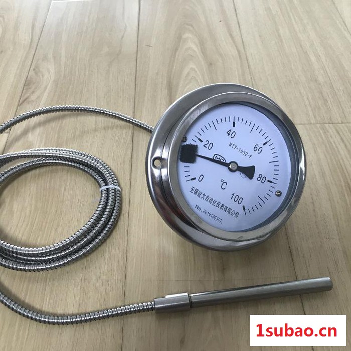 WTZ-280 轴向带边 不锈钢压力式温度计 0-100 度 线长3米5米  可定制图2