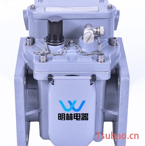 非本体复位型 气体继电器 QJ-80A 动作记忆指示功能瓦斯继电器图3