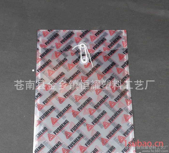 定制 单层a4文件夹 透明档案袋 铁扣系绳文件袋图2