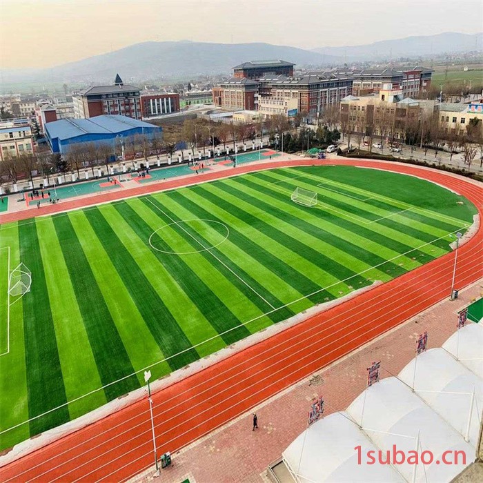 厚冠塑胶跑道定制 大型非标儿童玩具厂家 黑龙江建华彩色橡胶颗粒跑道批发图4