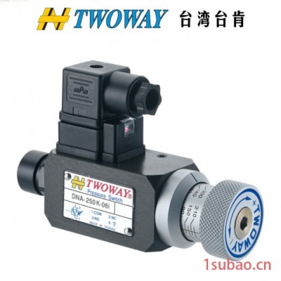 TWOWAY台肯DNM-03A-100K-21B,DNM-03A-250K-21B压力继电器