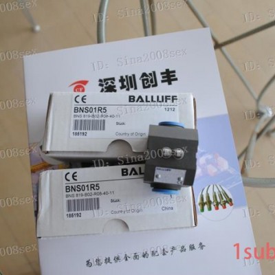 现货balluff巴鲁夫限位开关BNS 819-B02-R08-40-11