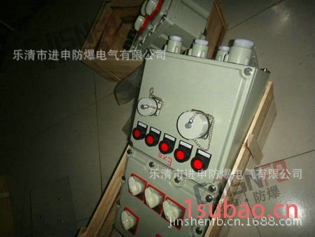 防爆插座箱 BXX52 防爆检修电源插座箱 防爆电源插座箱