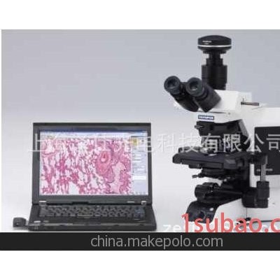专业经销 研究级万能显微镜 临床显微镜 正品光学显微镜 BX53