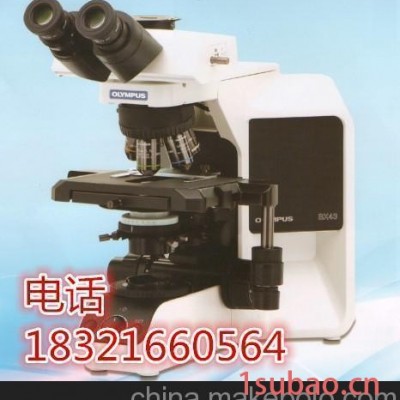 进口奥林巴斯光学 显微镜BX43