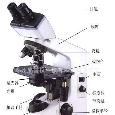 天水显微镜 生物显微镜 光学显微镜价格