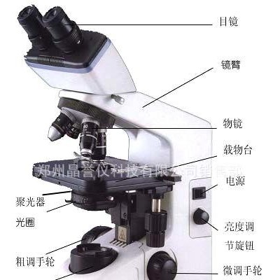 慶陽顯微鏡 生物顯微鏡 光學顯微鏡價格