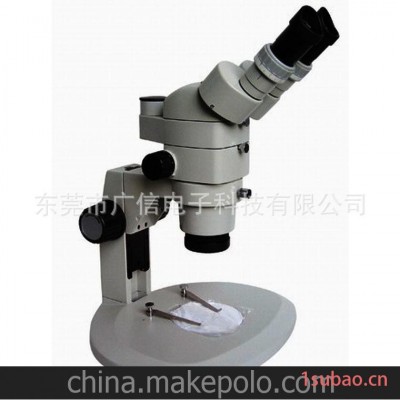 XPZ-830BI显微镜 桂光显微镜