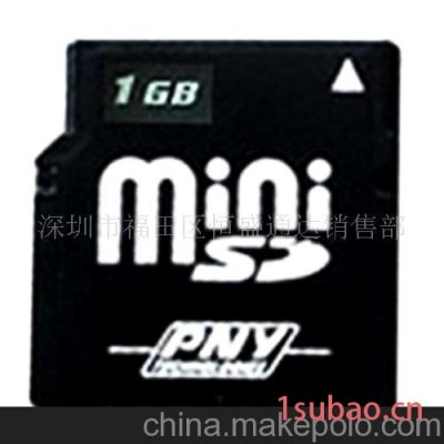 PNYmini闪存卡1G