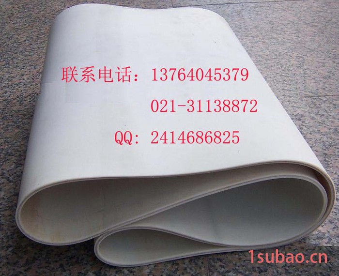 浙江硅胶食品输送带 硅胶带图3