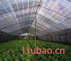 遮阳网 遮阳网厂家 厂家批发遮阳网 防晒网 遮阳网厂家经销图5