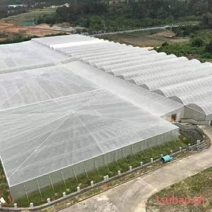 供应 顺盟 尼龙遮阳网图4