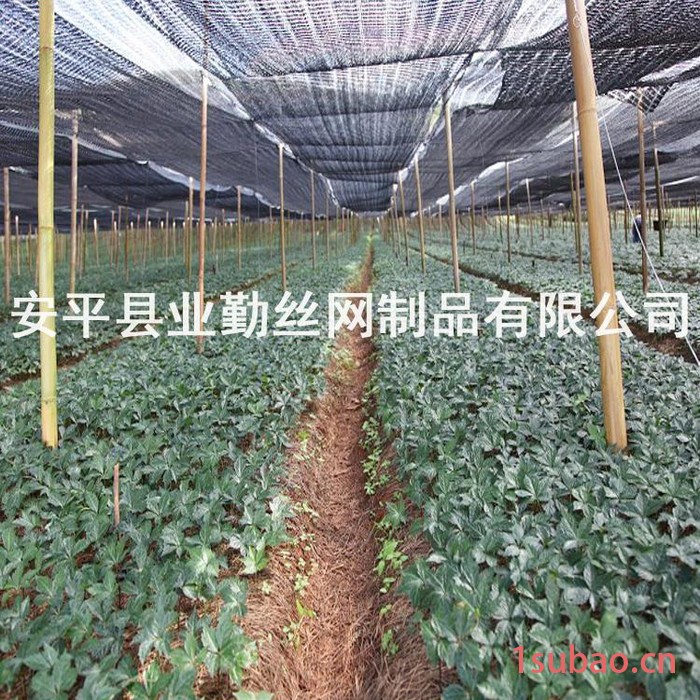 业勤厂家生产遮阳网    大棚扁丝遮阳网    农用防晒遮阳网图2