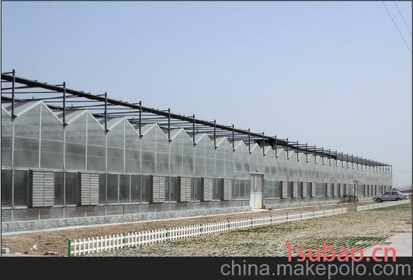 提供文洛型阳光板温室及骨架图4