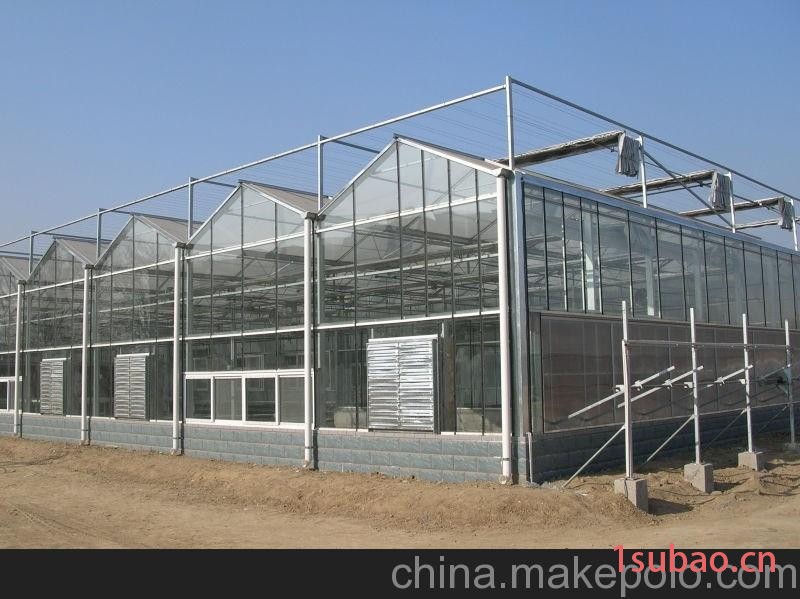 提供文洛型阳光板温室及骨架图3