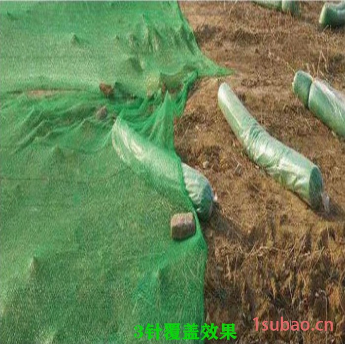 遮阳网  绿色遮阳网 盖沙网 子阳绳网图4
