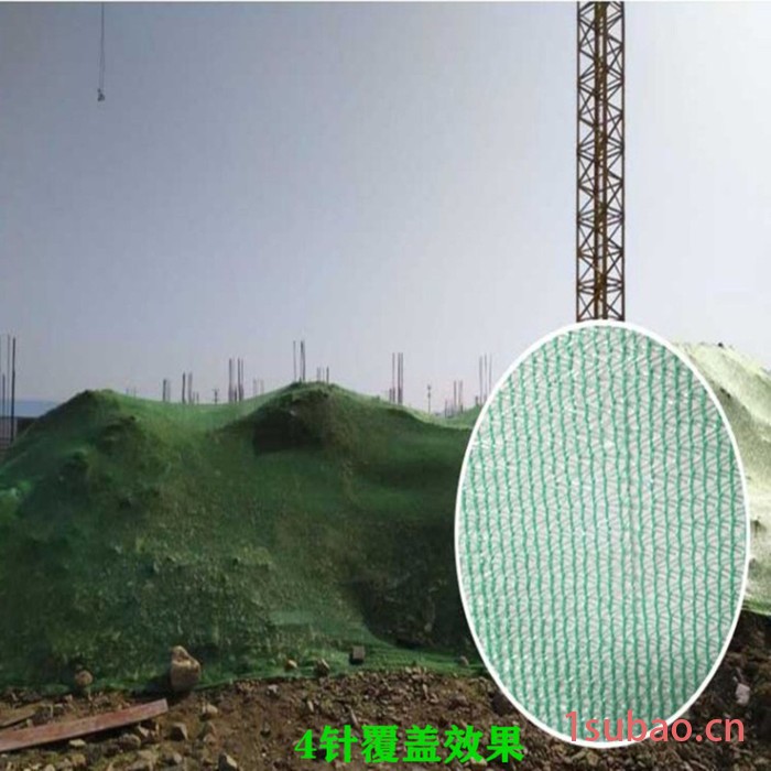 遮阳网  绿色遮阳网 盖沙网 子阳绳网图2