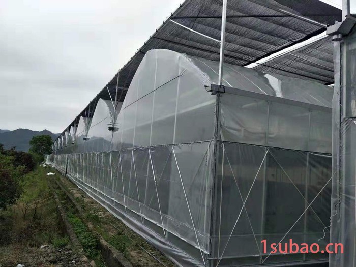 遮阳网连栋棚图8