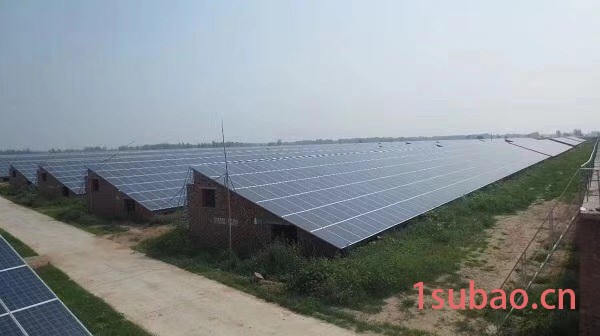遮阳网连栋棚图4