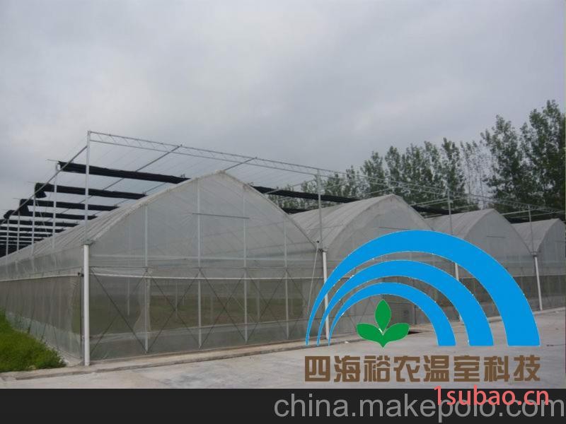 福州闽侯永泰连江平潭罗源长乐大棚抗老化防虫网养殖网白纱防鸟网图2