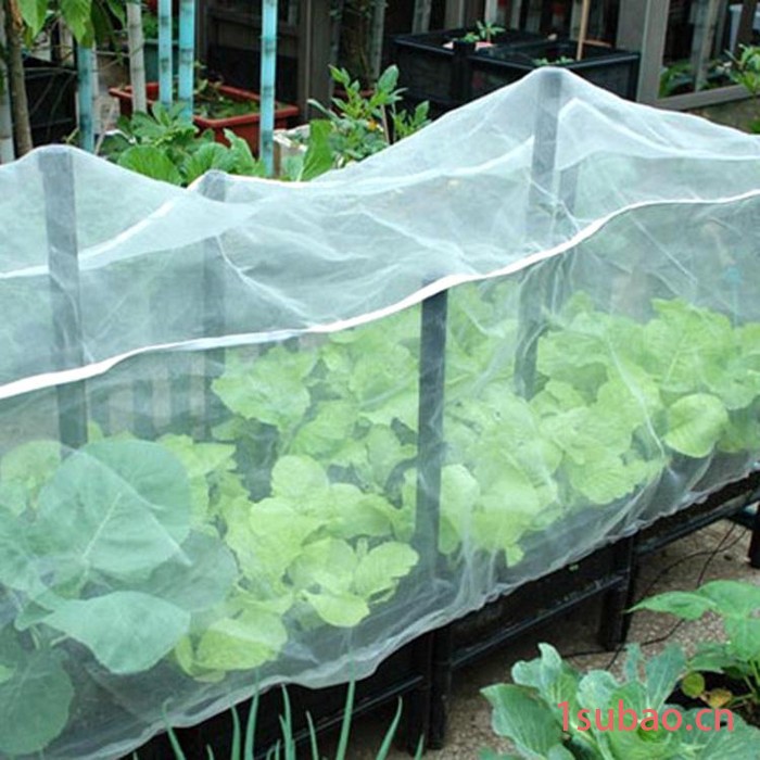 蔬菜专用防虫遮阳网   花卉乙烯网型号图2