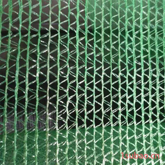 绿色遮阳网 绿色防风网 建筑工地盖土网图2