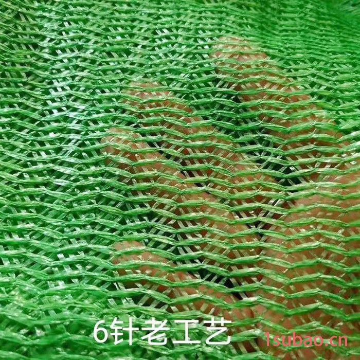 滨州汇泰绳网  盖土网遮阳网 建筑工地防尘盖土网 绿色遮阳网防晒网绿化盖土网 厂家图4