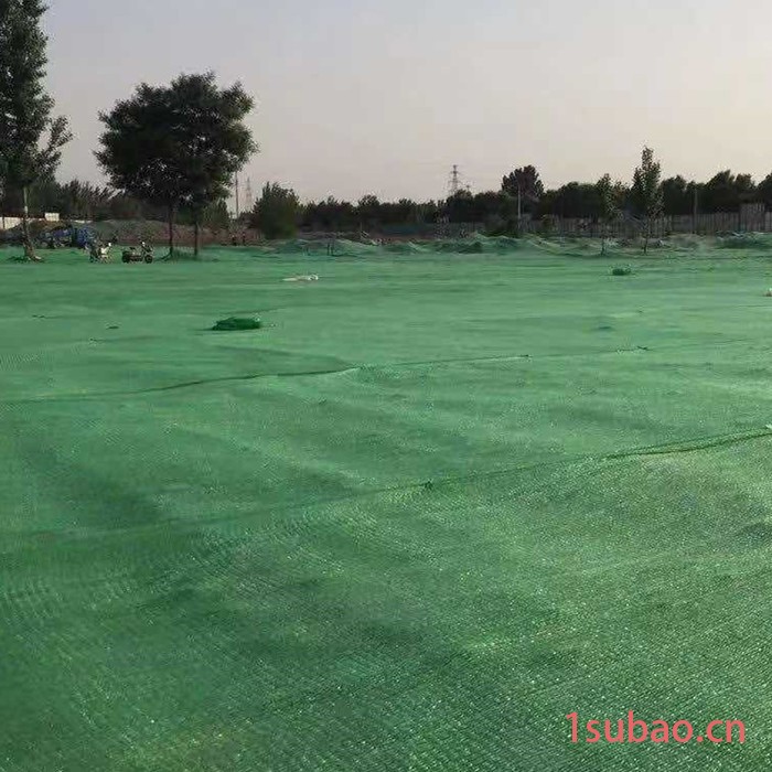 建筑工地盖土网 现货供应 加密防尘盖土网 大棚遮阳网图3