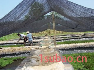 北京**黑色遮阳网 绿色环保防尘网 多种型号针数 现货批发图2