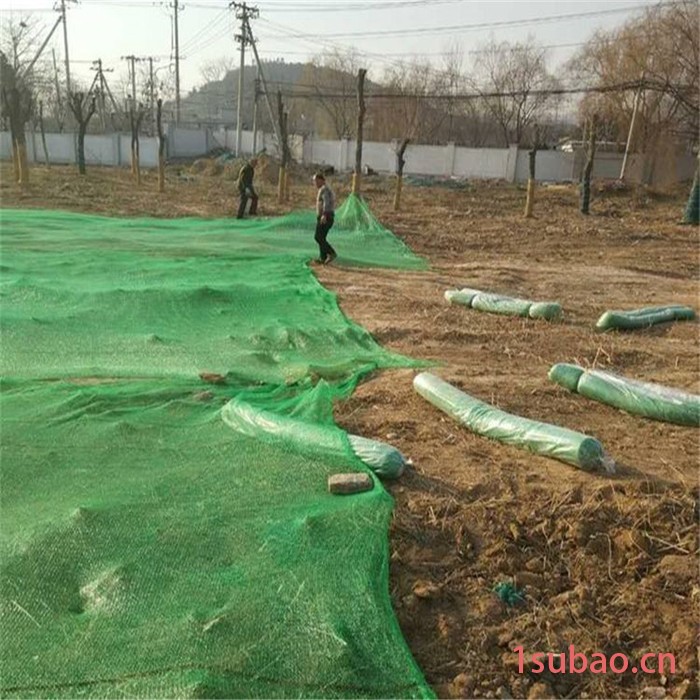 盖煤绿网 绿色盖土网 两针遮阳网图5