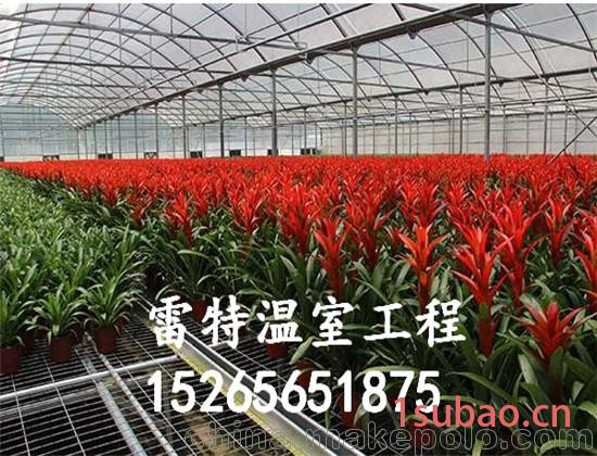 供应山东pc板温室 阳光板花卉大棚 型号齐全价格低图3