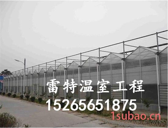 承建花卉大棚厂家 阳光板温室建设 价格实惠图3