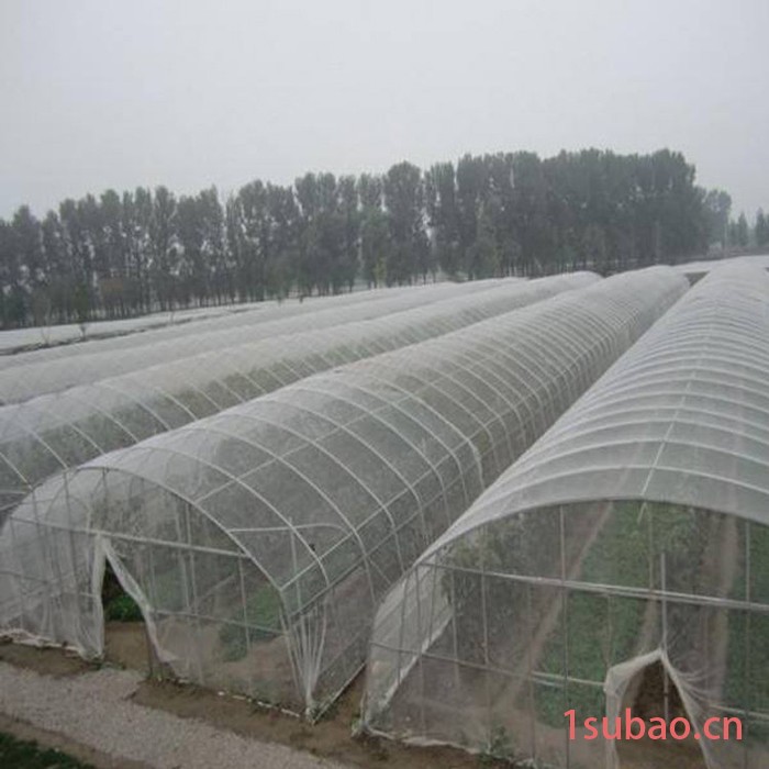 张津 **  温室大棚防虫网 外用遮阳网大棚 蔬菜花卉防虫网  大棚防虫网  **价廉图2
