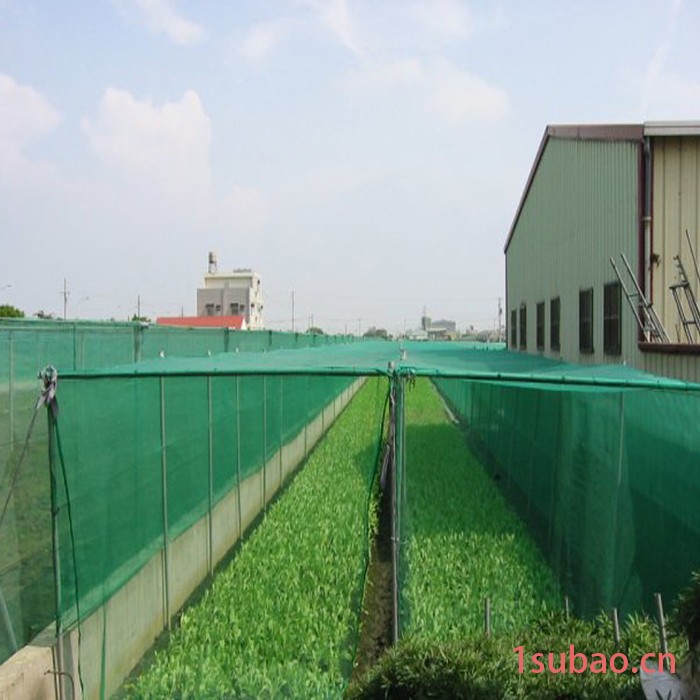 【防虫网】25目防虫网 30目防虫网 遮阳网防虫网 果树防虫网 果苗防虫网图5