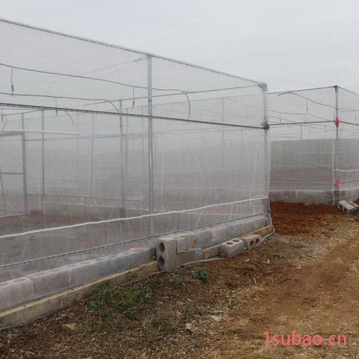 鑫隆 厂家批发  60目防虫网  蔬菜大棚遮阳网   大棚防虫网  防虫网厂家 量大从优图3