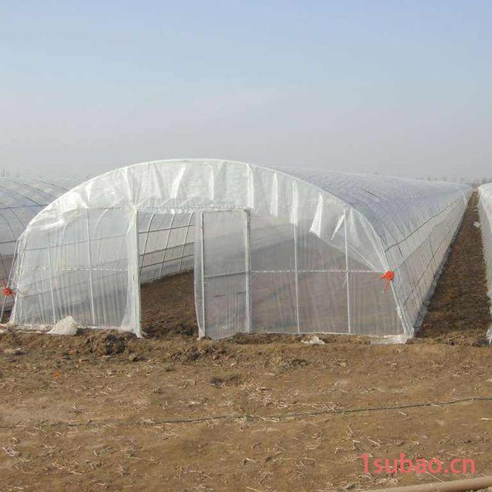 鑫隆 厂家批发  60目防虫网  蔬菜大棚遮阳网   大棚防虫网  防虫网厂家 量大从优图4