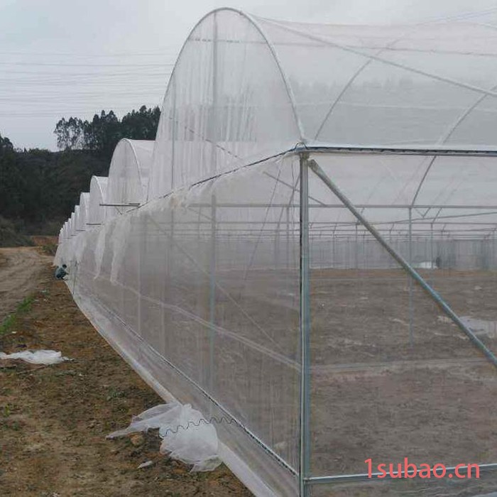 鑫隆 厂家批发  60目防虫网  蔬菜大棚遮阳网   大棚防虫网  防虫网厂家 量大从优图2