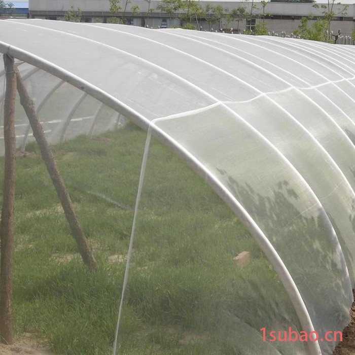 鑫隆 厂家批发  60目防虫网  蔬菜大棚遮阳网   大棚防虫网  防虫网厂家 量大从优图5