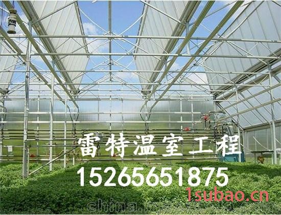 承接阳光板温室公司 pvc温室建设公司 使用寿命长图2
